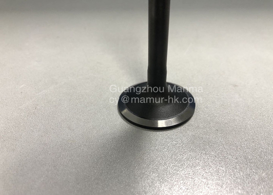 8943958820 ISUZU Engine Parts Intake Valve For ISUZU NPR 4HK1 6HK1