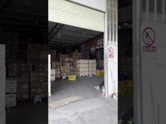 Introducción ISUZU JMC JAC Auto Parts de Manma Company